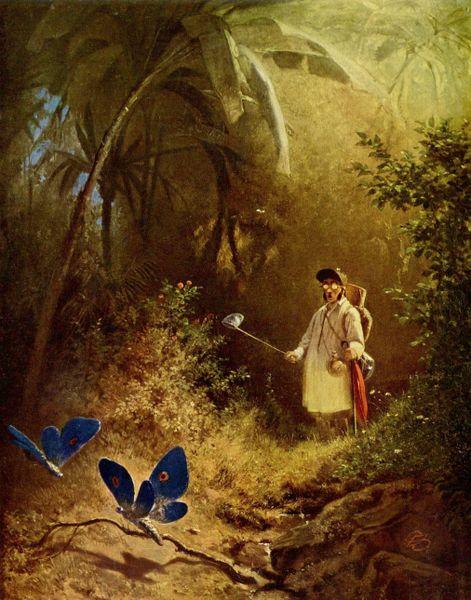 Carl Spitzweg Der Schmetterlingsjager oil painting image